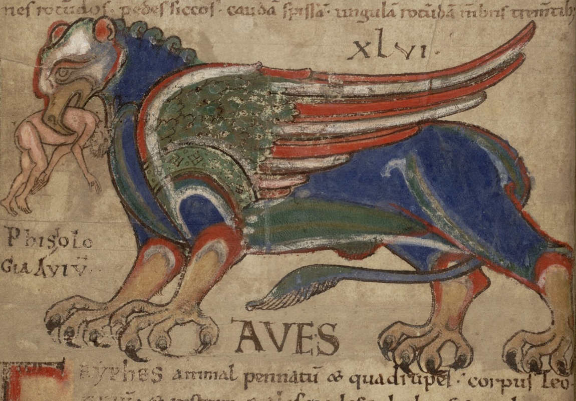 41654711105_e893172285_o