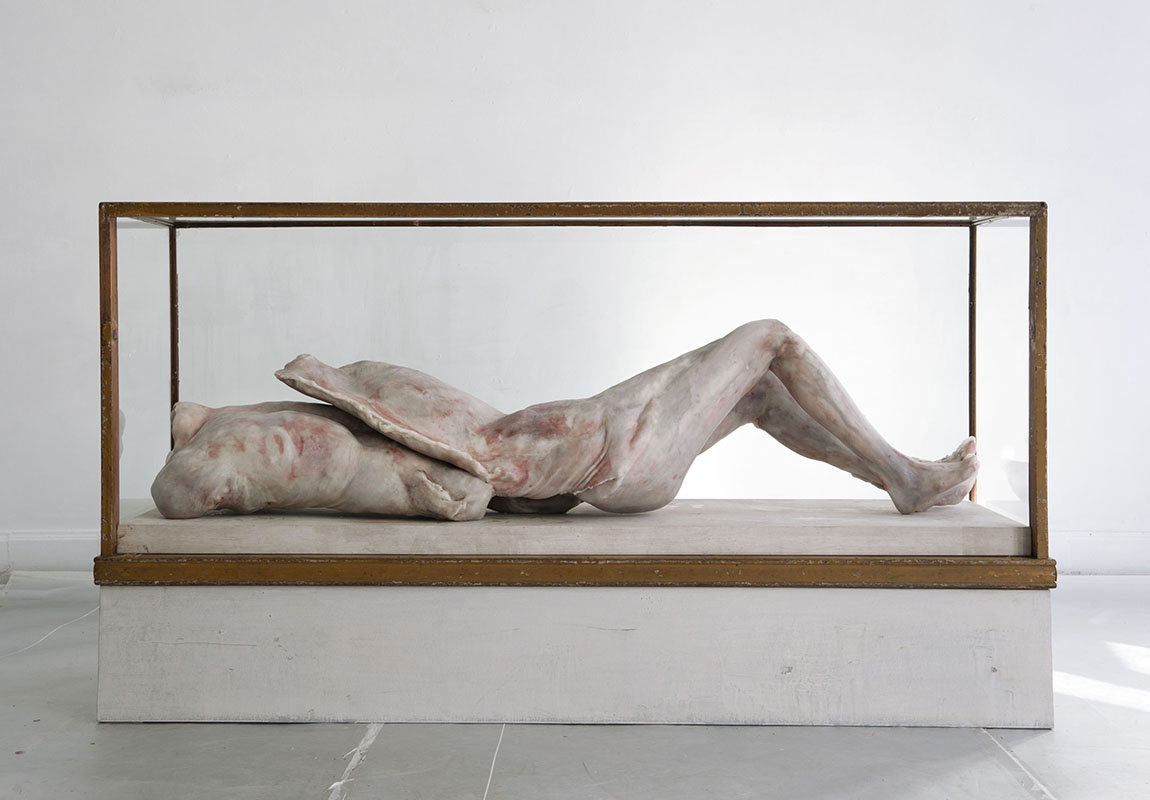 43850262335_05ec1bfa91_o-1