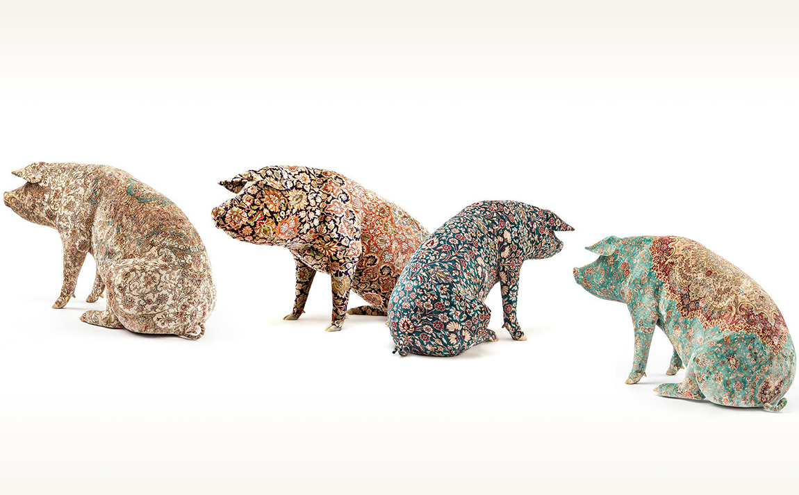 46205737262_166722dcb6_o