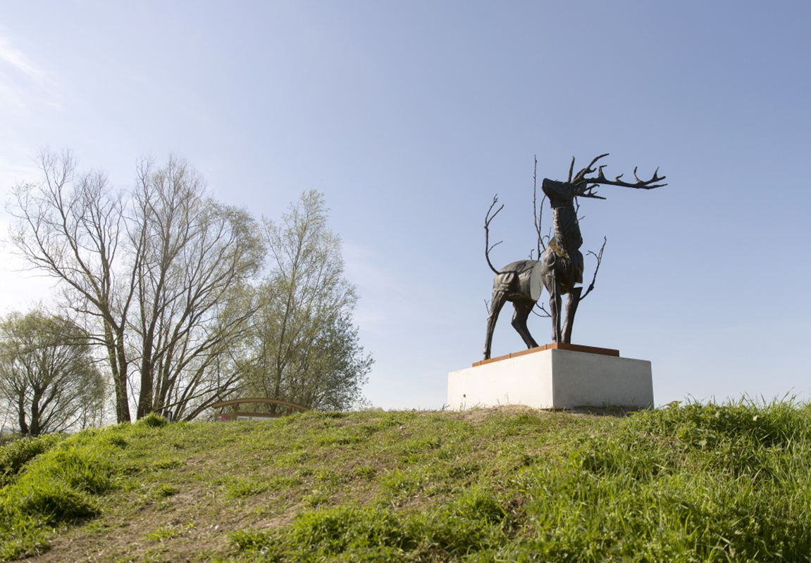 46206588692_375c63d9d0_o