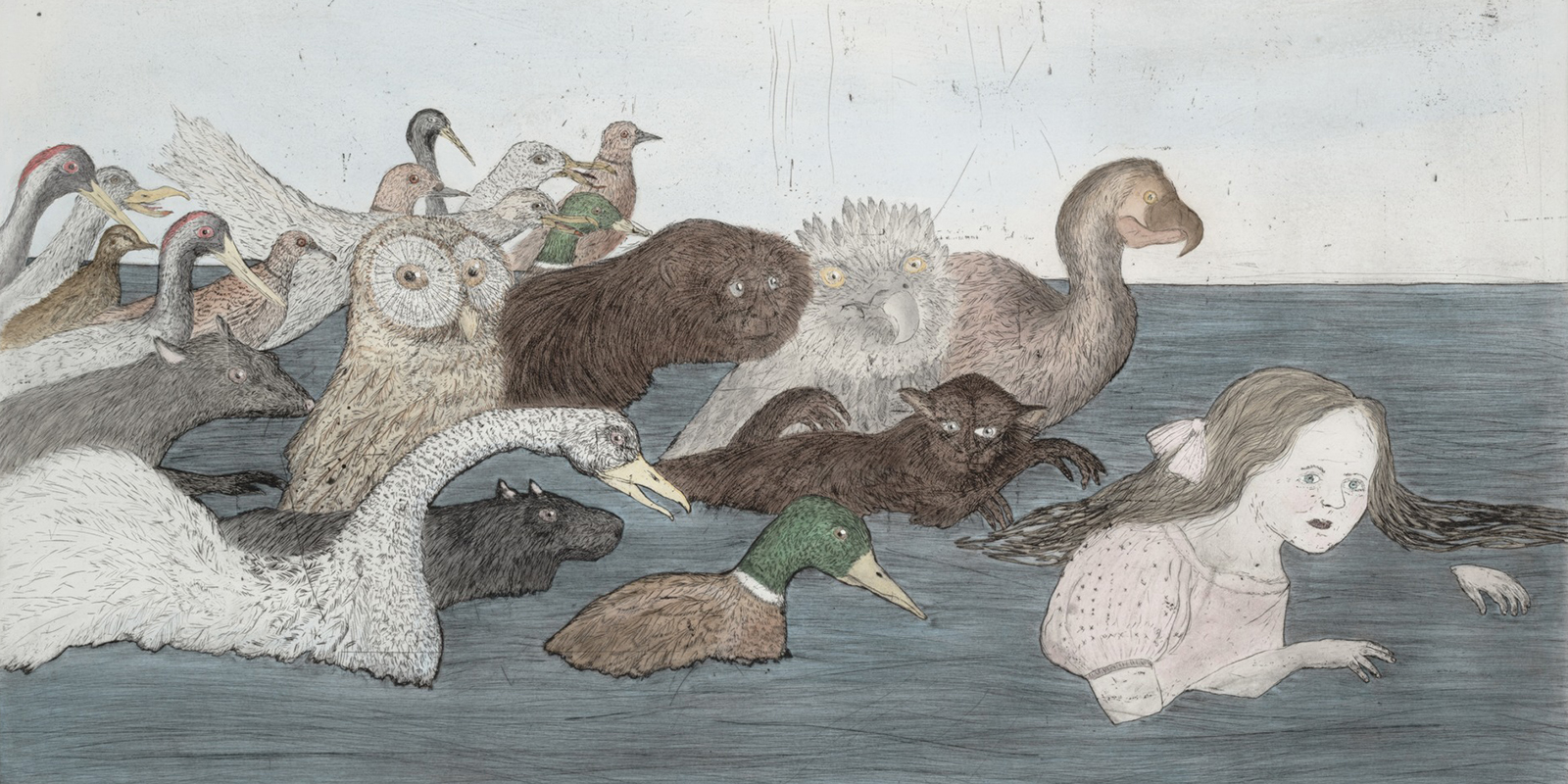 47993843966_bf91db2e82_o