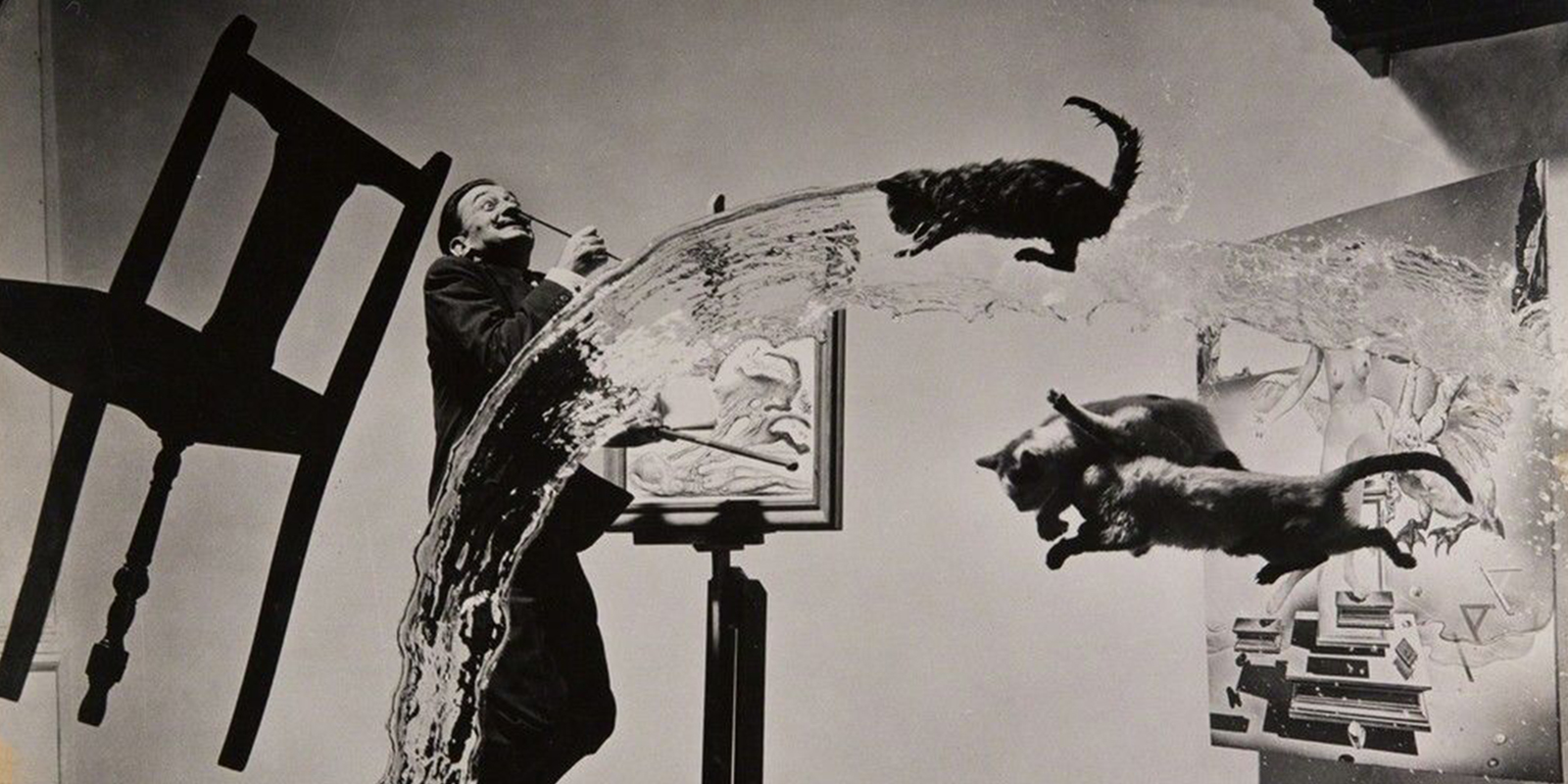 48012382912_1891177128_o-2