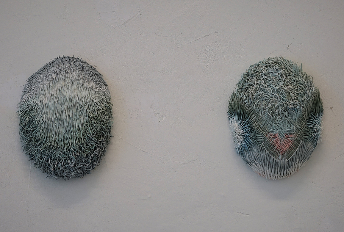 48797783332_65e271c122_o