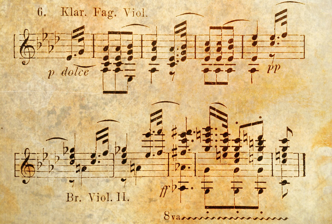 48827293587_1cc59d3def_o-2