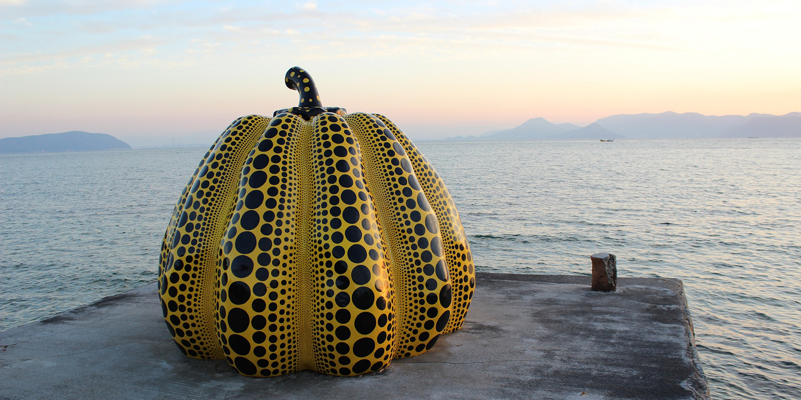 50969811952_74eb2bb12d_o