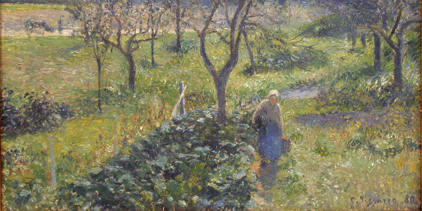 51144102383_a58b92e7fb_o-1