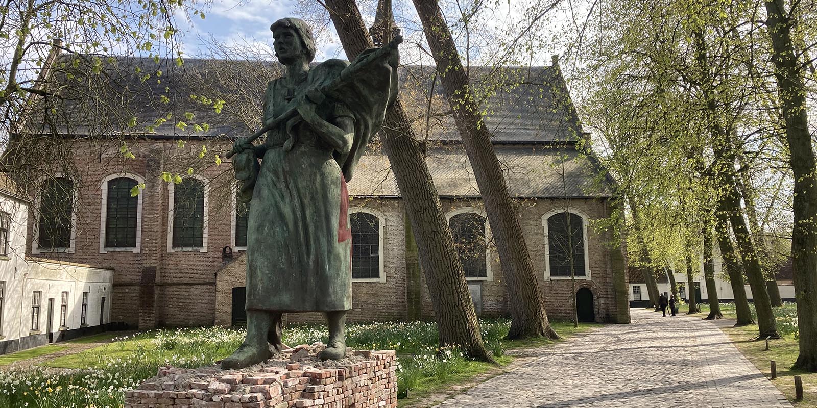 51145244149_7798d70e80_o