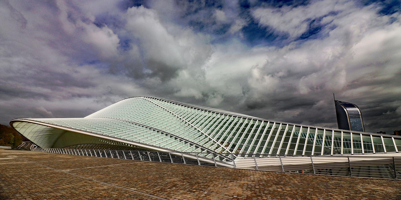 51171254237_9632d32d51_o