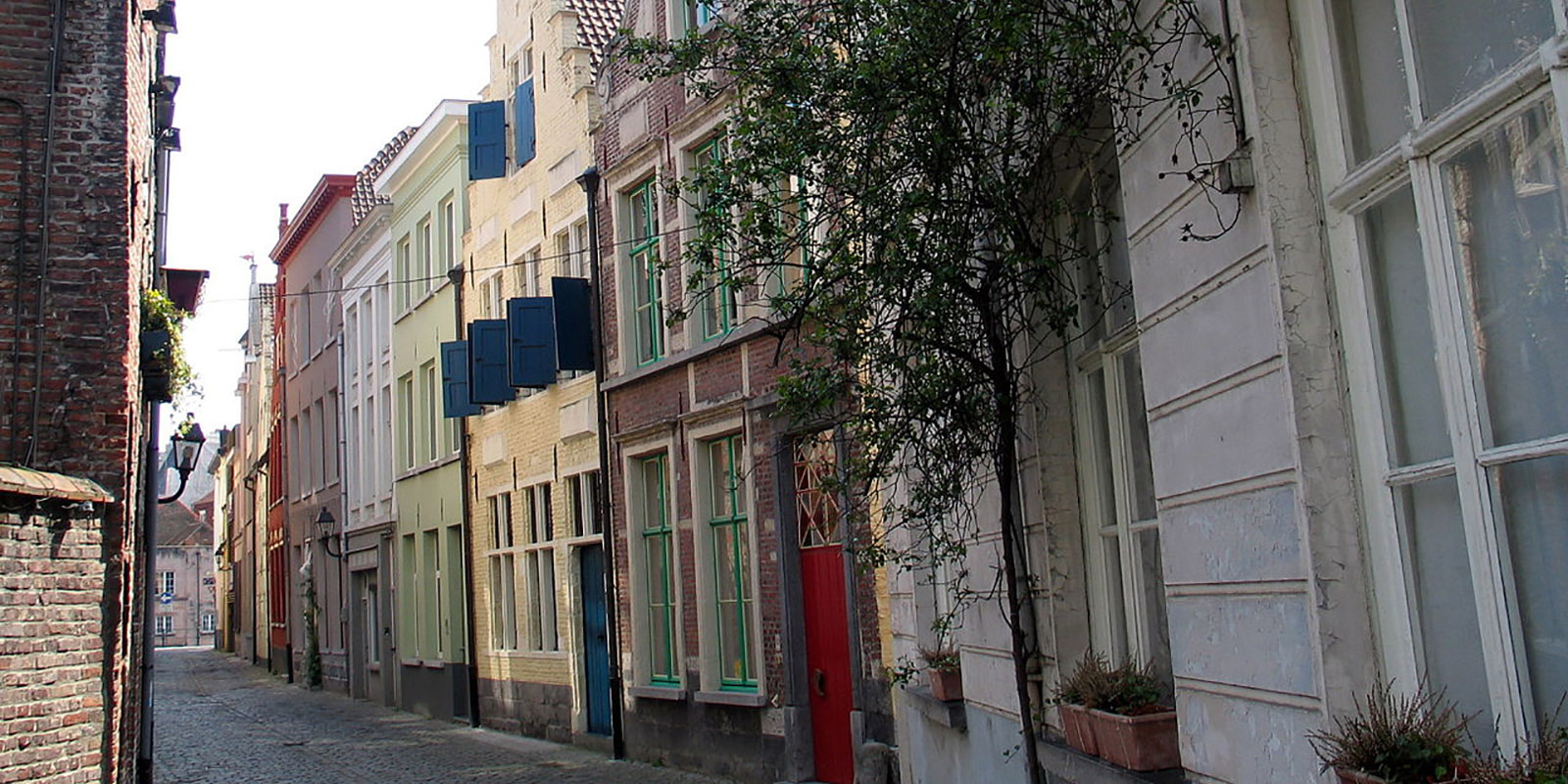 51291712568_9a6ce505e1_o-1