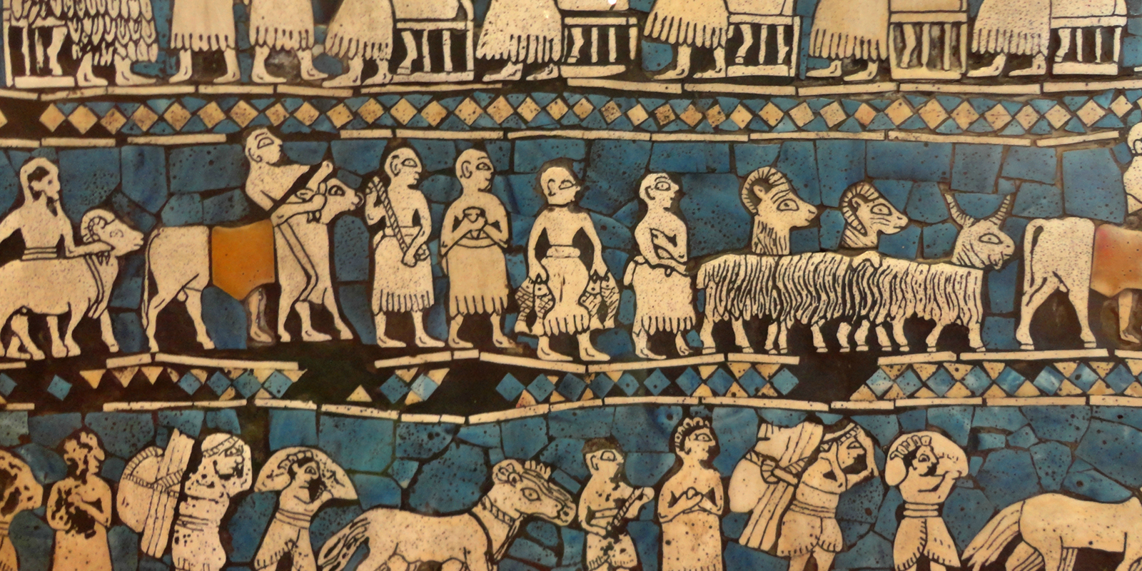 51576924283_825bcecc68_o-1