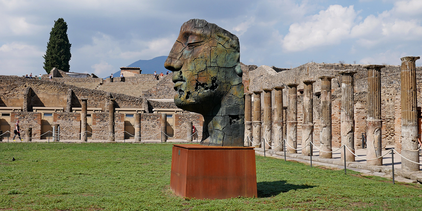 51583068487_9b50a291bf_o-1