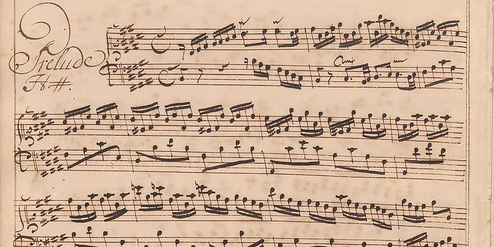 51630387813_532b27687c_o-1