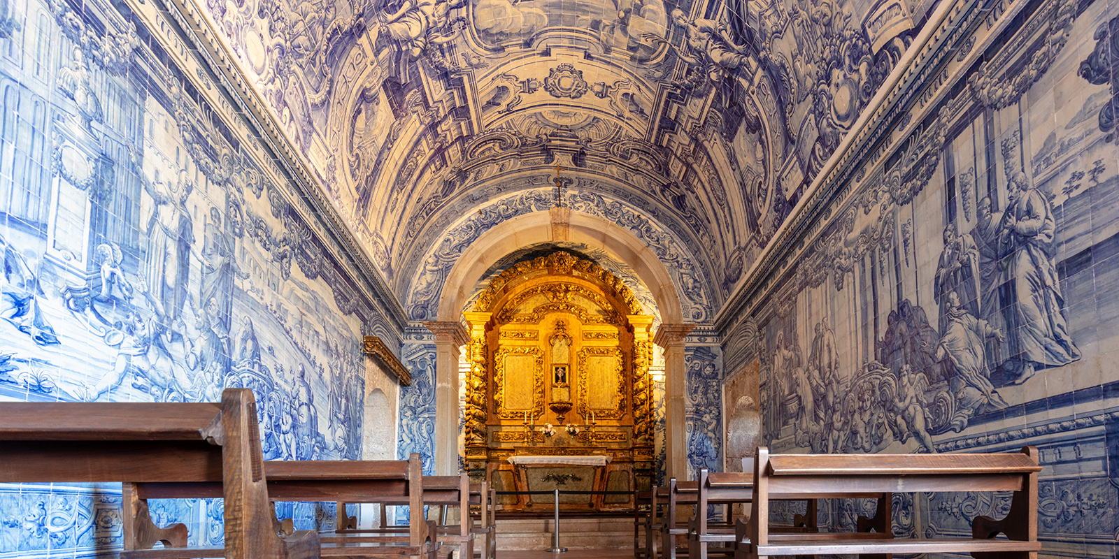 51633054836_38cbaa55c6_o