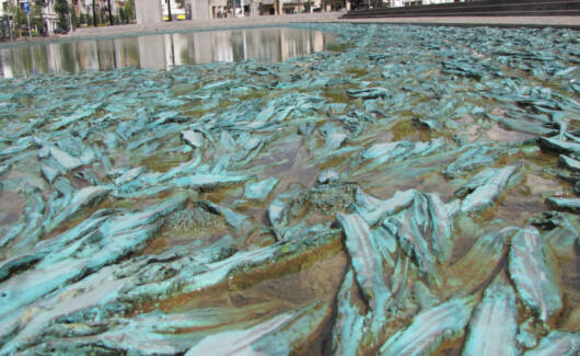 51602620918_79aa0f1f13_o-1