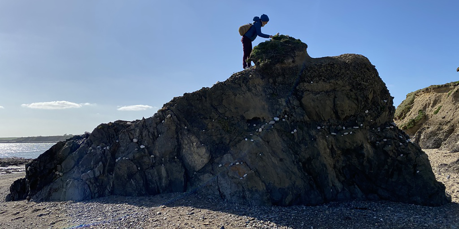 51603489445_ef130e67fb_o-2