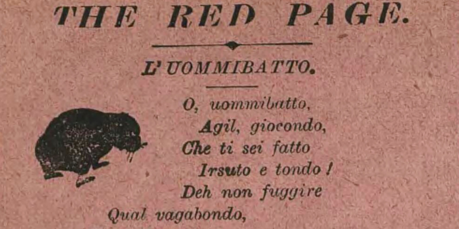 51829905593_e9be801cde_o-1