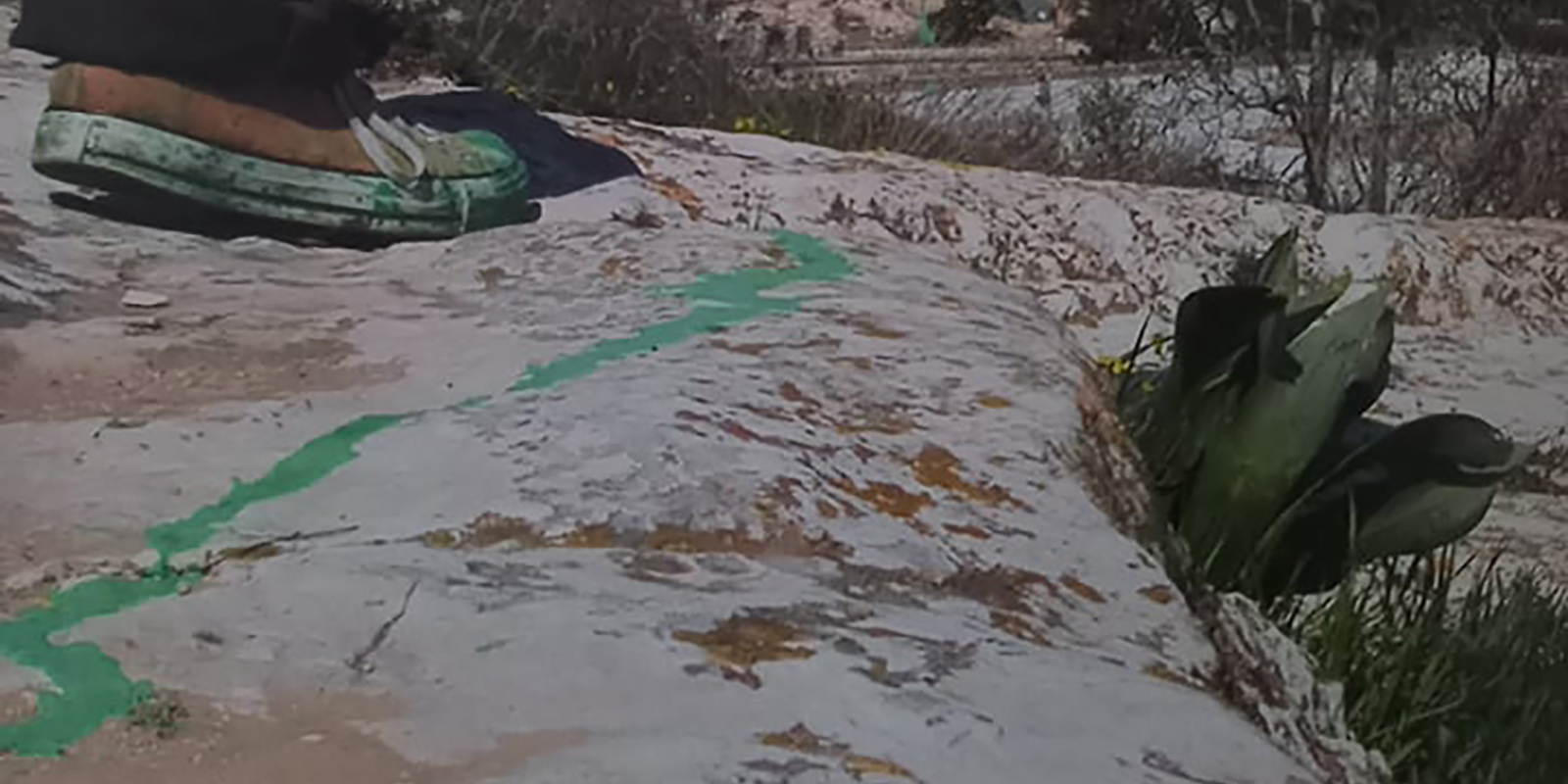 51831927451_ca12cc17d0_o