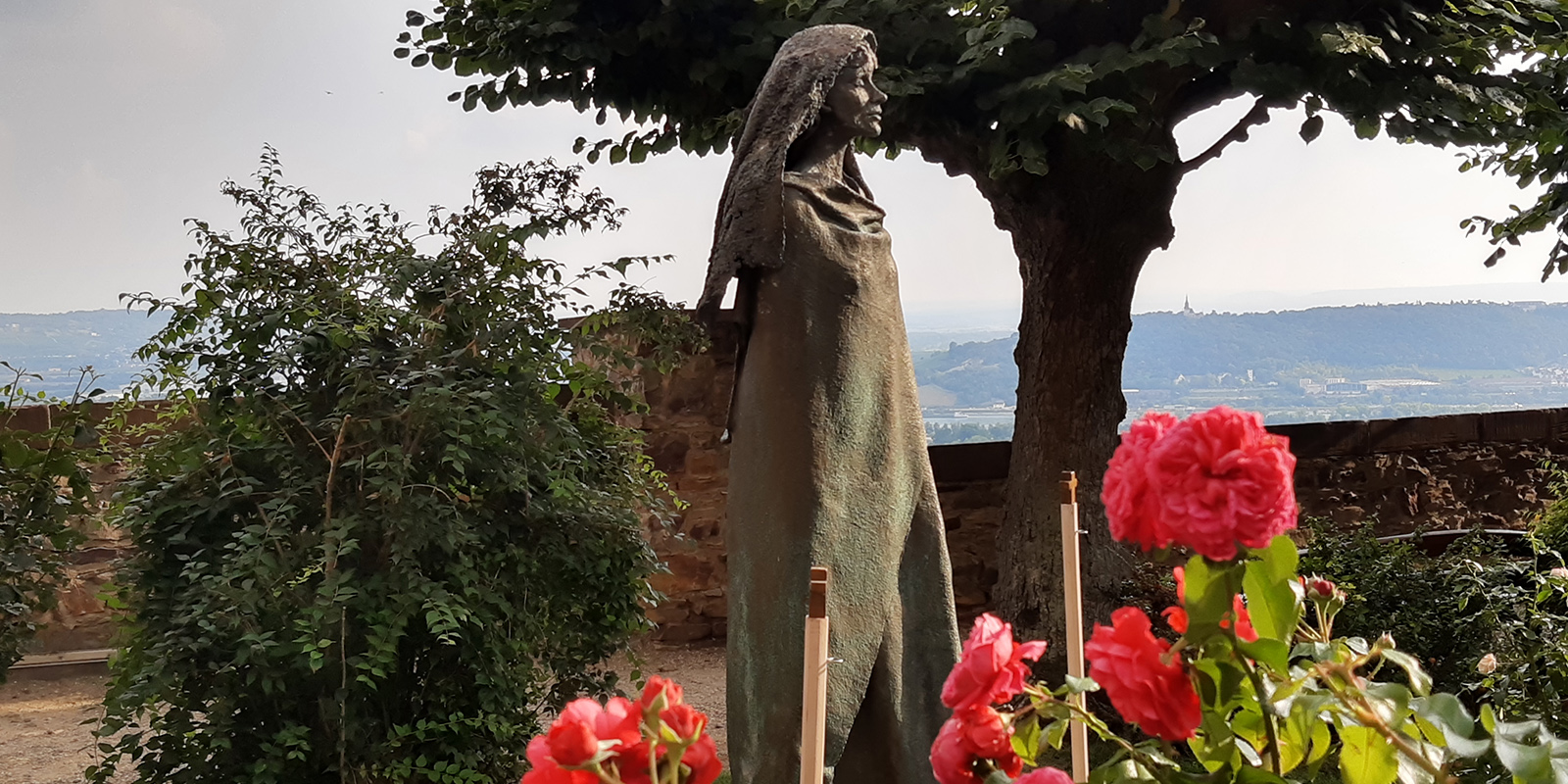 51839017777_321771f716_o