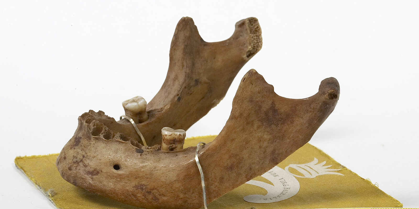 51855964486_c9d2e08d02_o-3