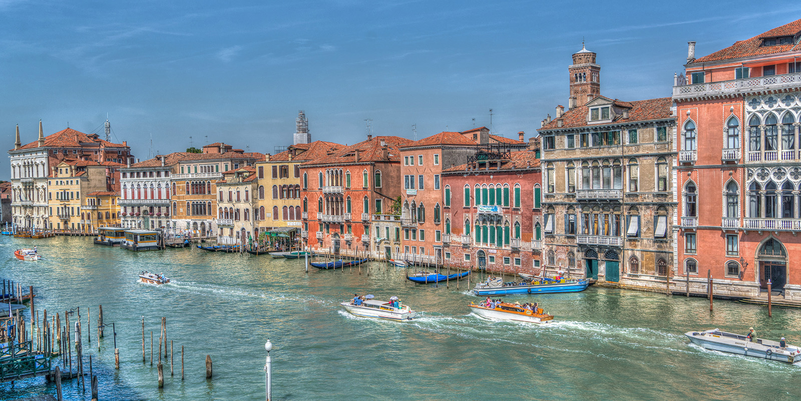 51648342107_01528a447a_o