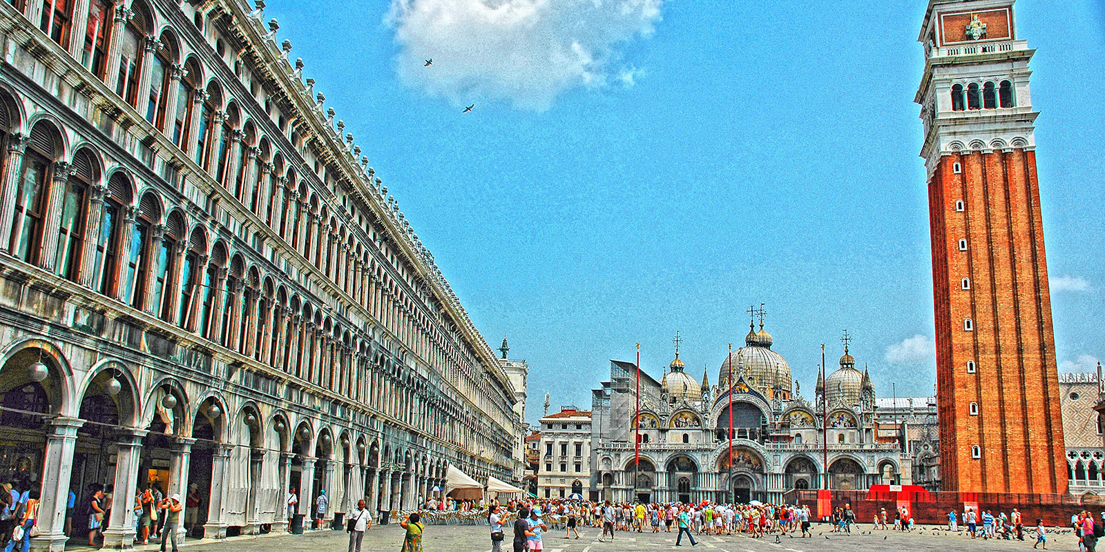 51649173771_6654dea961_o