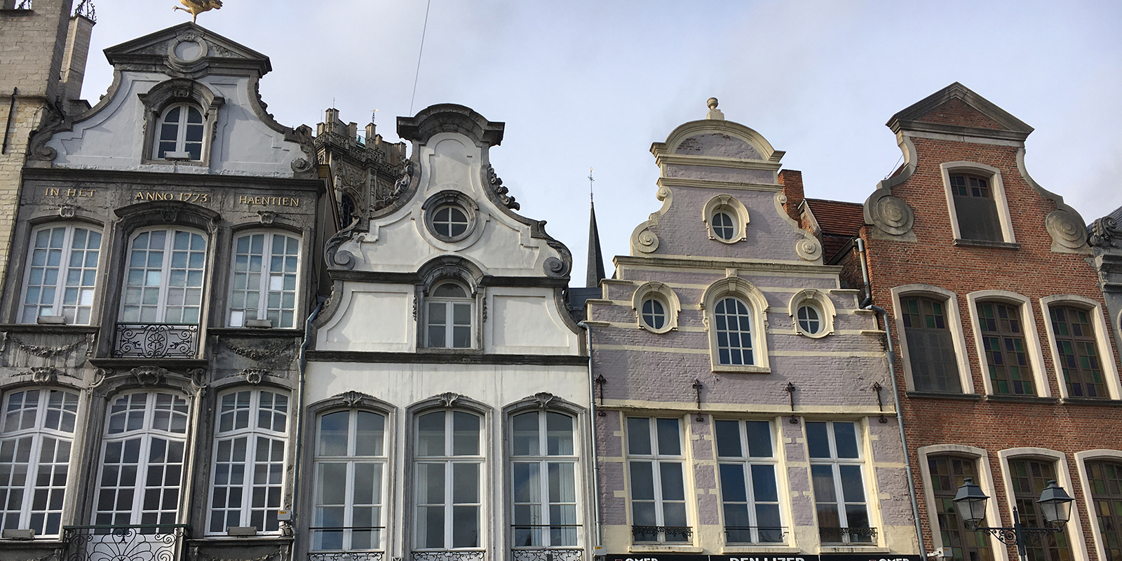 51929749568_dfa3ba2b11_o