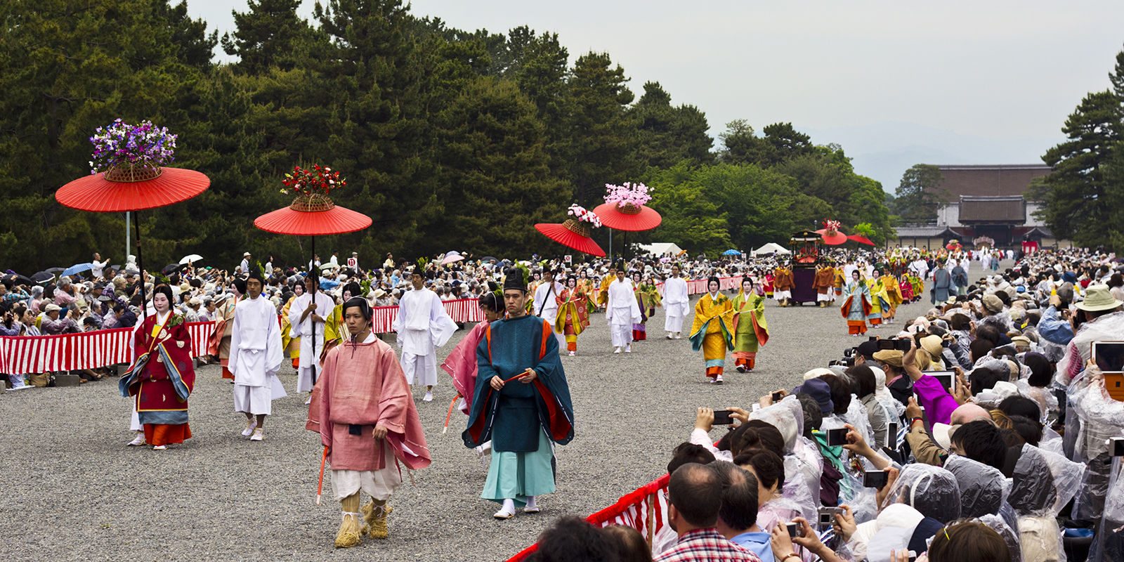 52028962711_0ff257f0d0_o-1