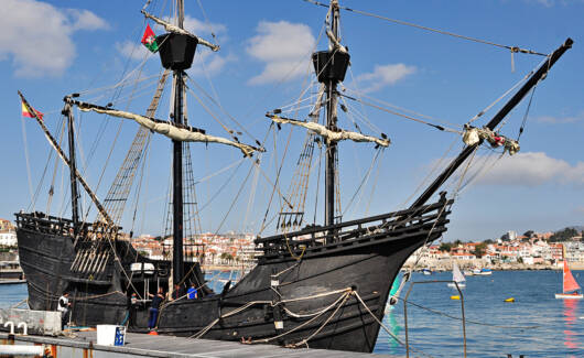 52031346670_7d78c1761d_o