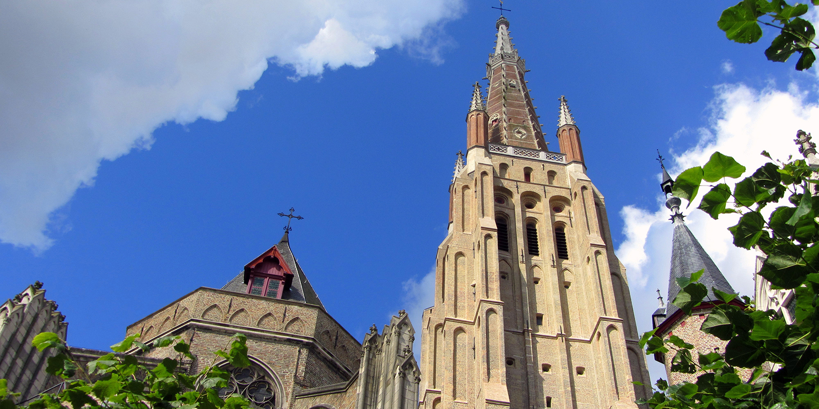 52033737203_9c70ccf60f_o