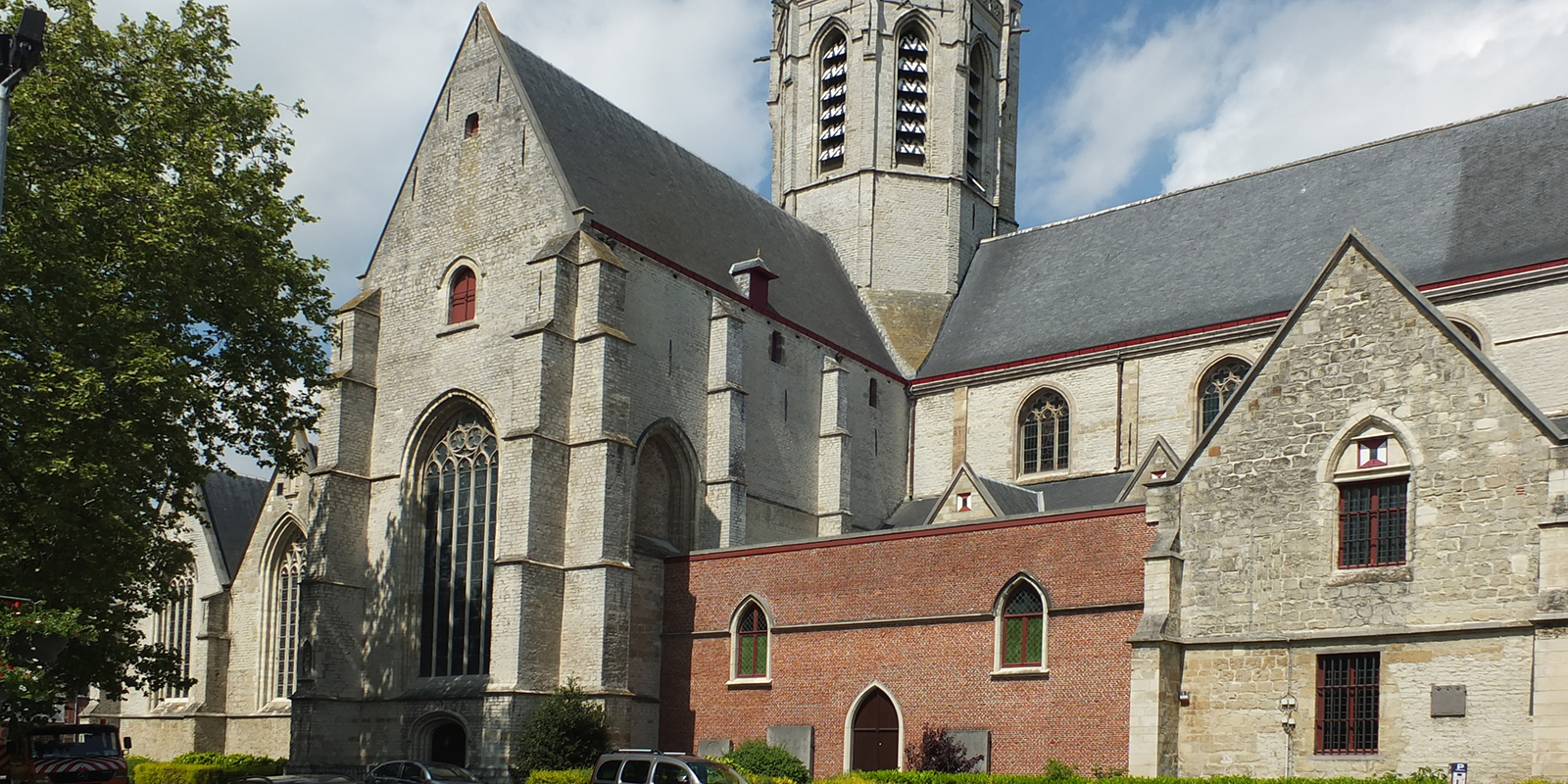 52033752673_15eb77e9d6_o