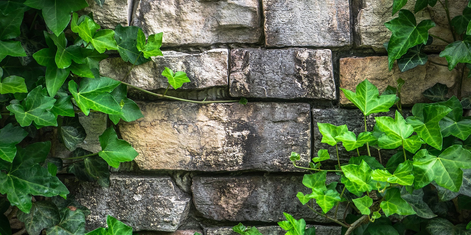 52034217390_84448609ea_o