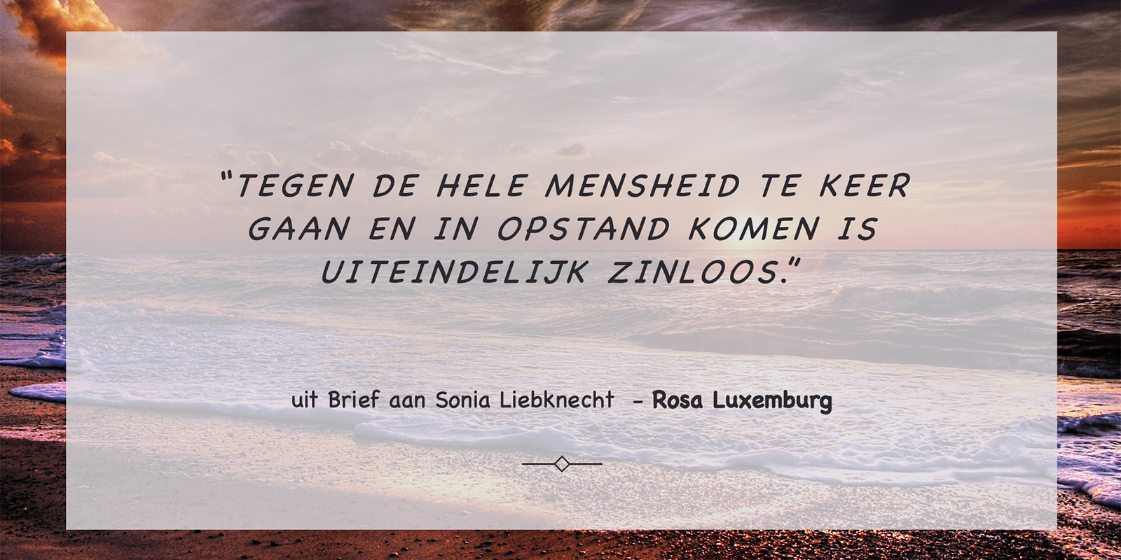 51843423457_d6f70c0a7f_o-1