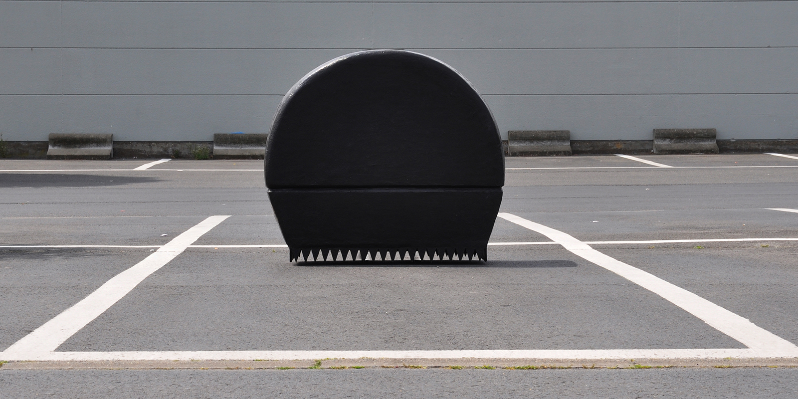 52176971201_2af2156390_o