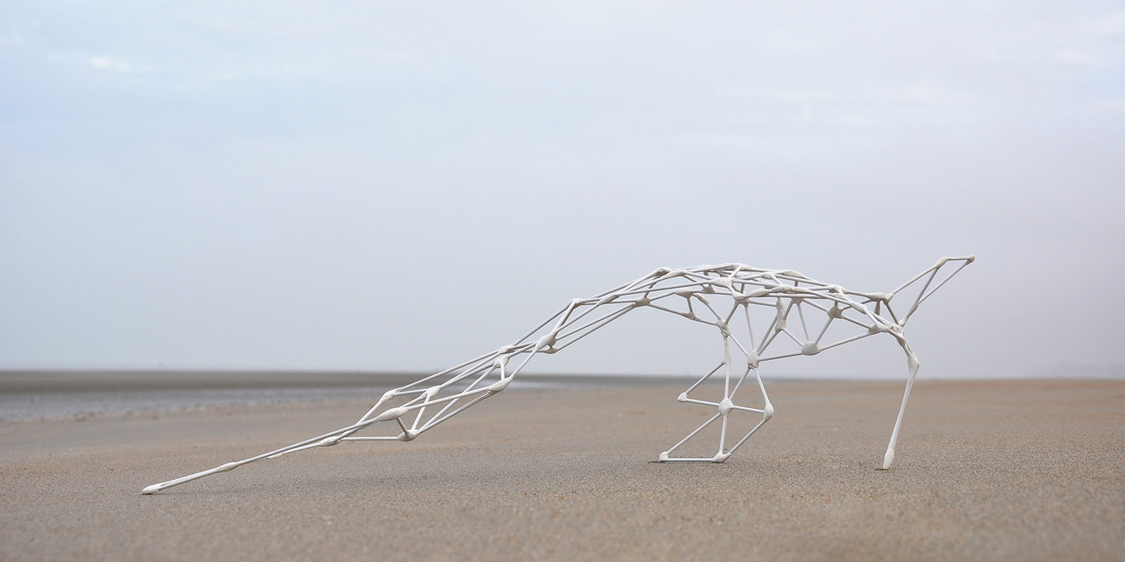 52177218599_a69d332b85_o