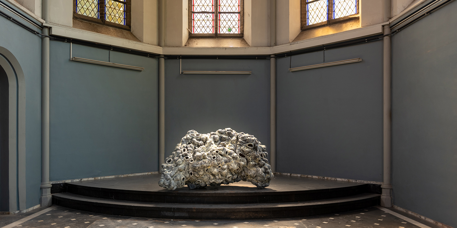 52177220379_70d6acc80d_o