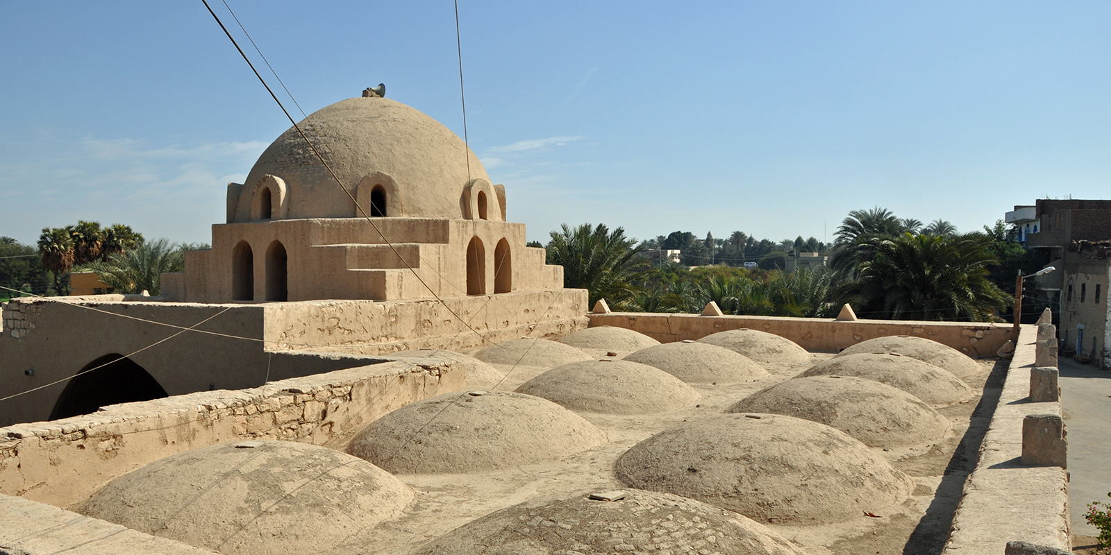 52179819309_db91926abf_o-1