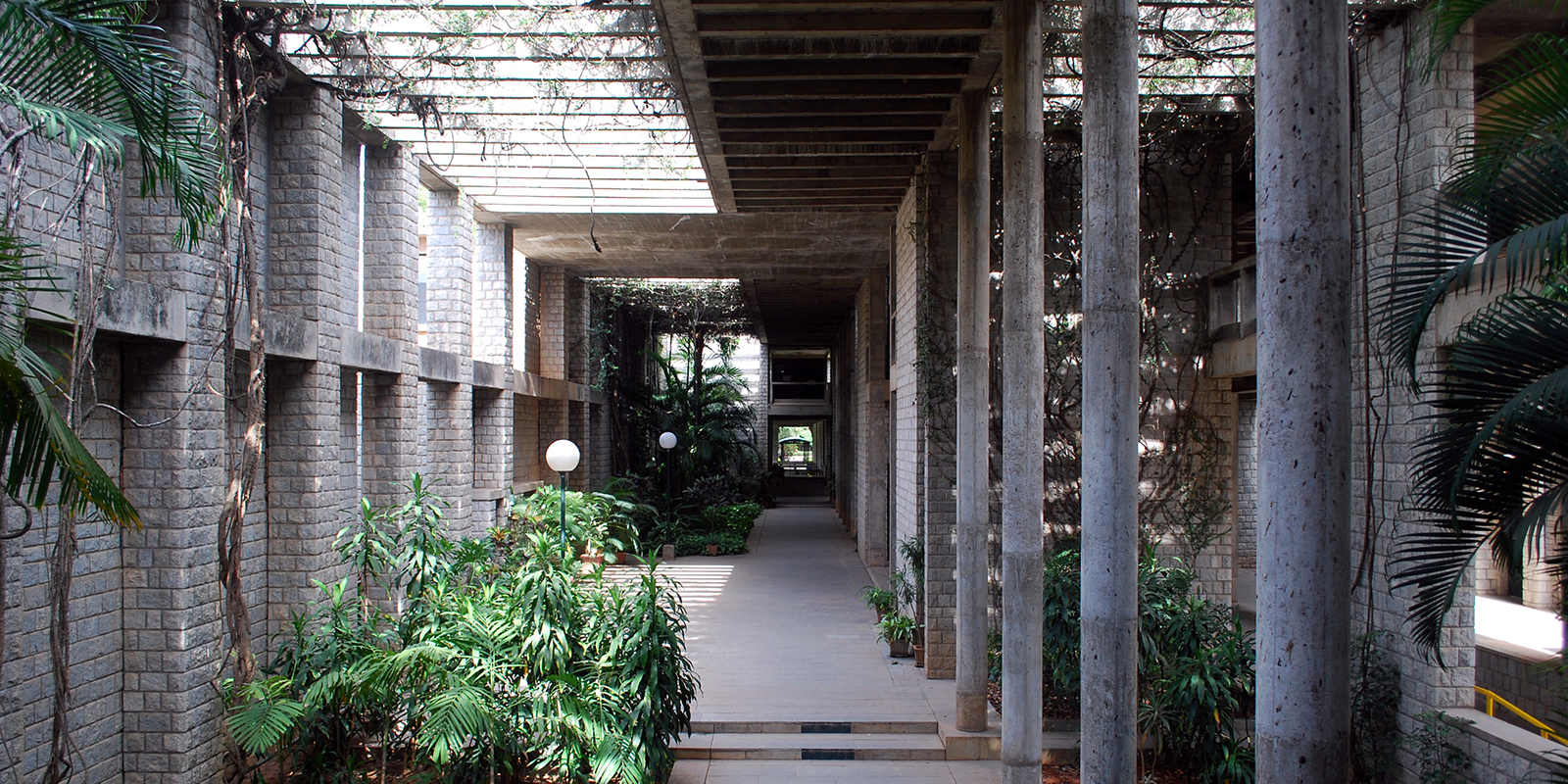 52179819919_1e240a9bae_o-1