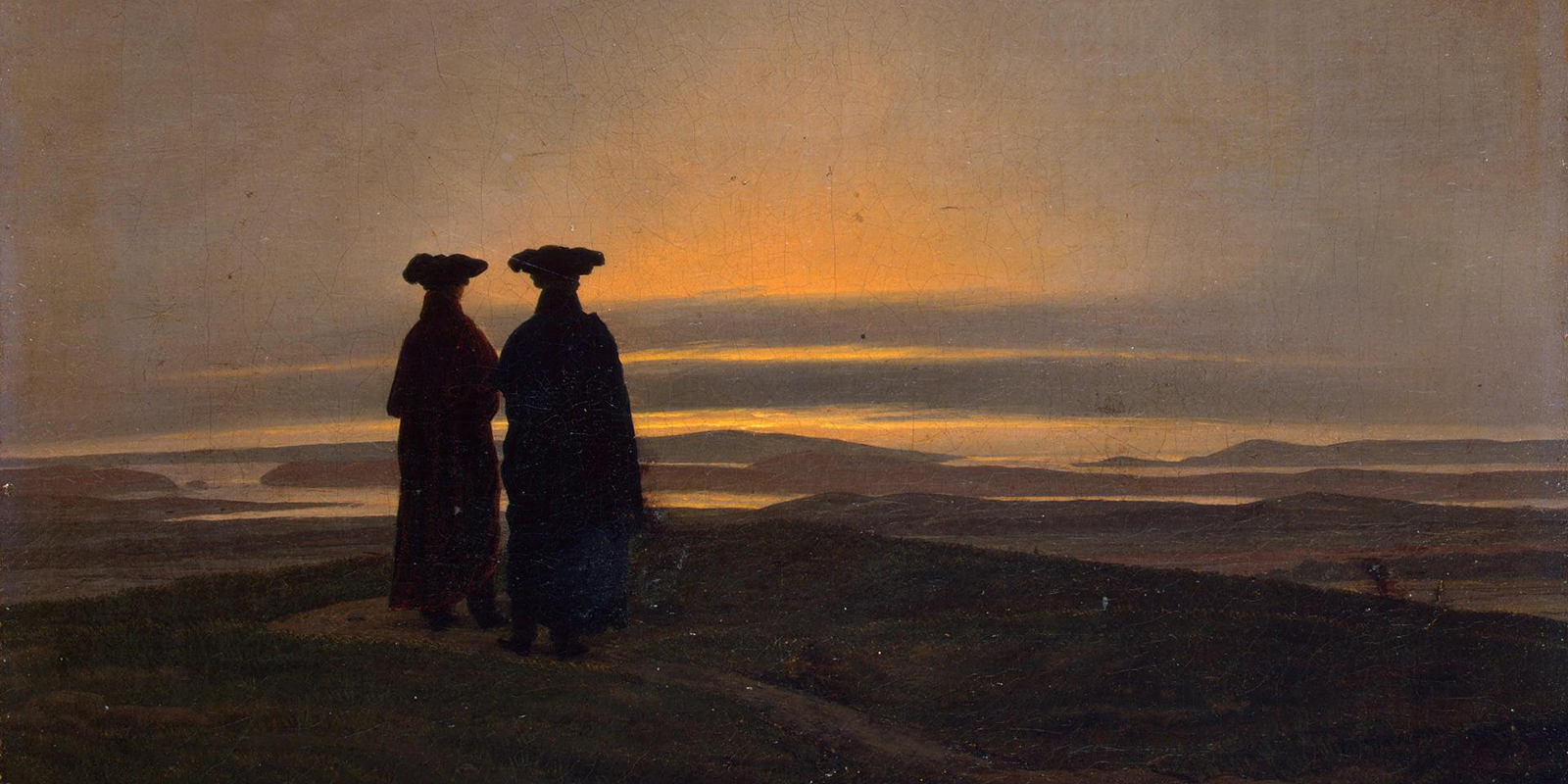 52195385288_6b6d9346ab_o