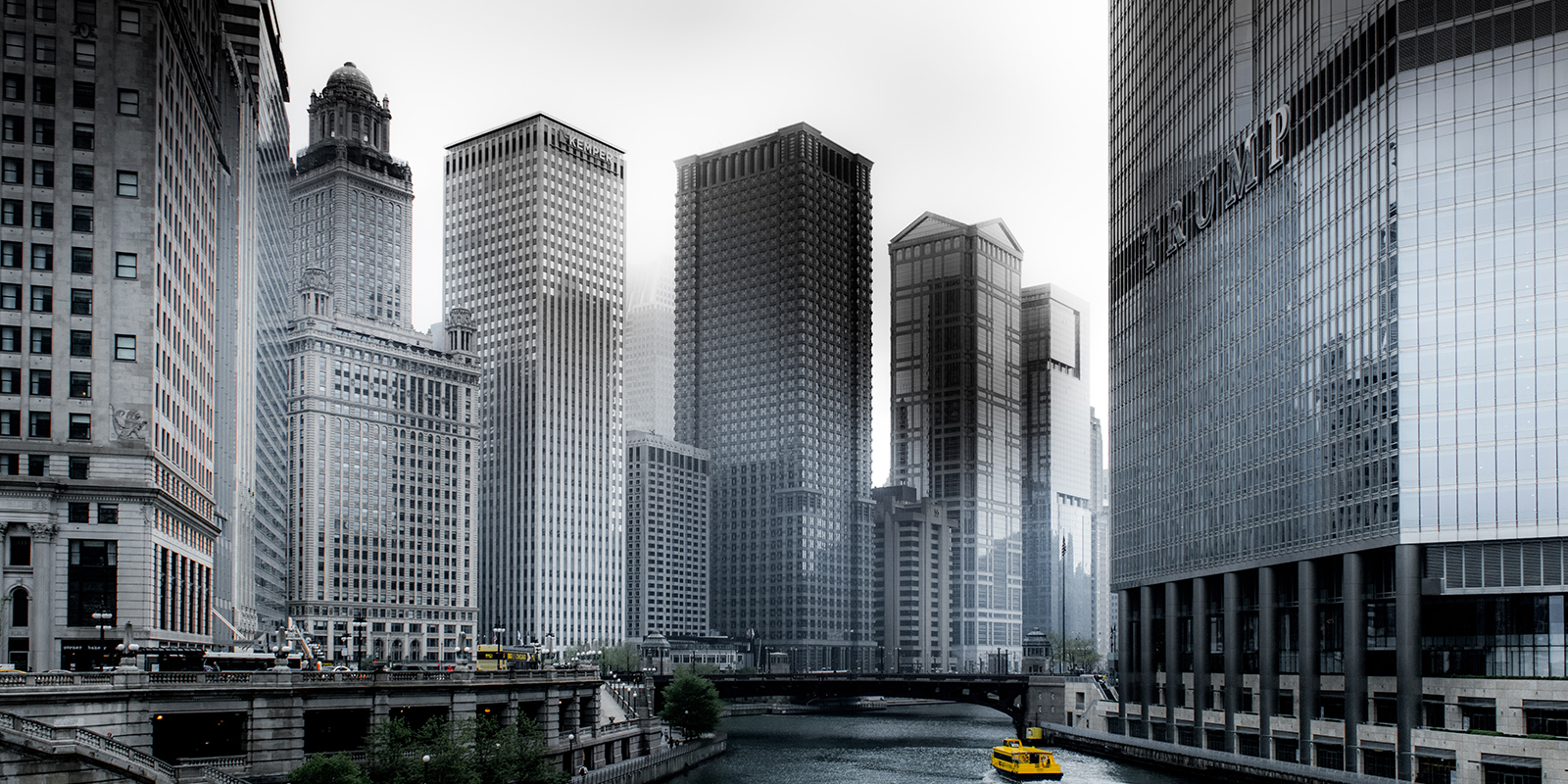 52403149917_cf994f901c_o-2