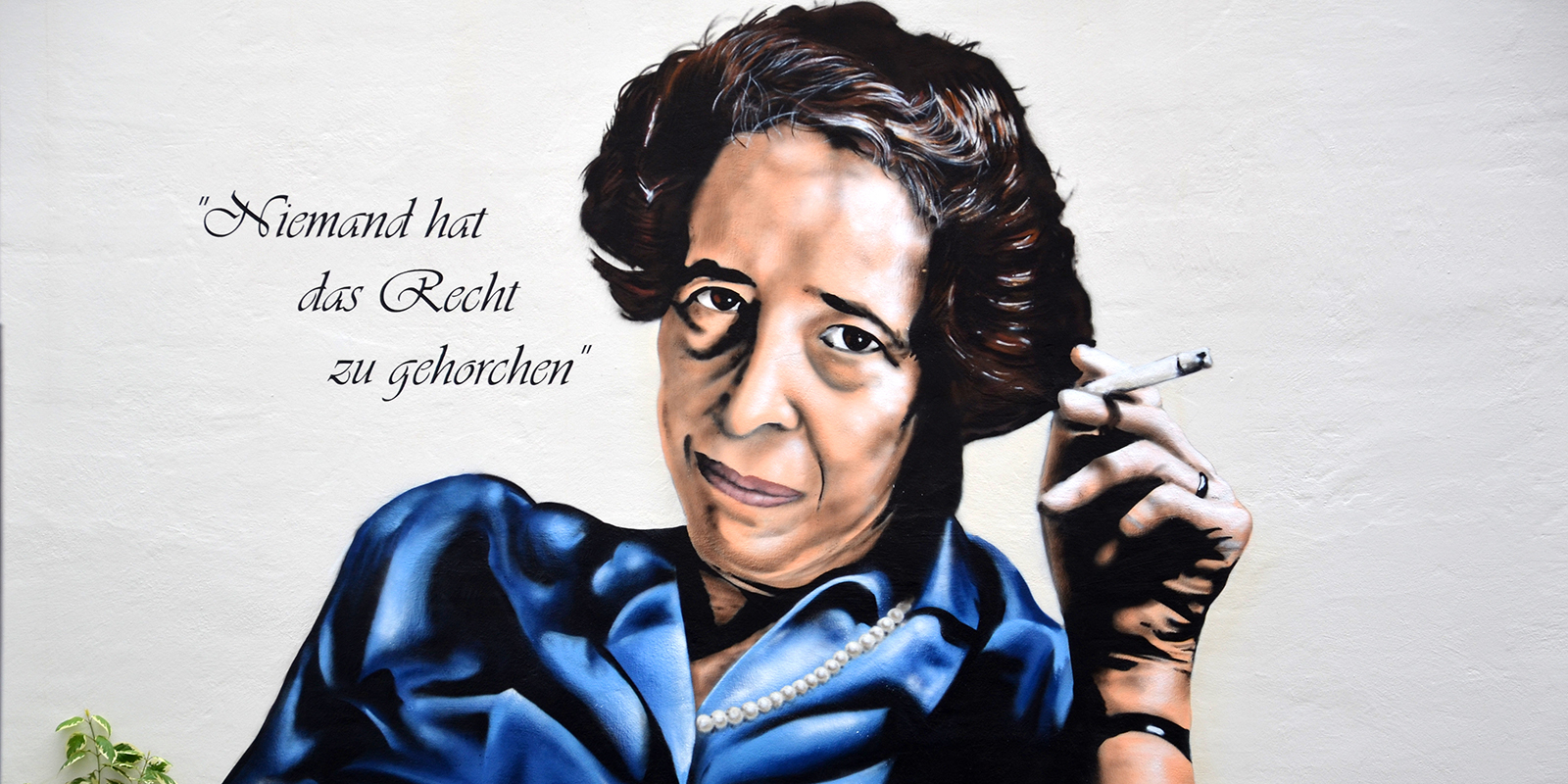 52186293273_18fbe6391f_o