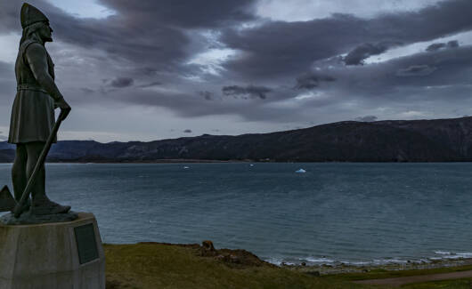 52424864496_750fccb287_o