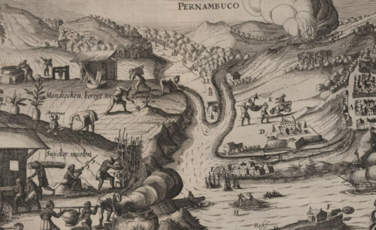 52425311359_19fde61e48_o-1