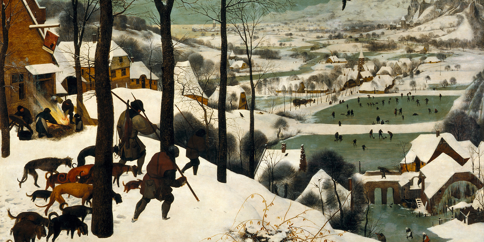 52425323270_528577f880_o