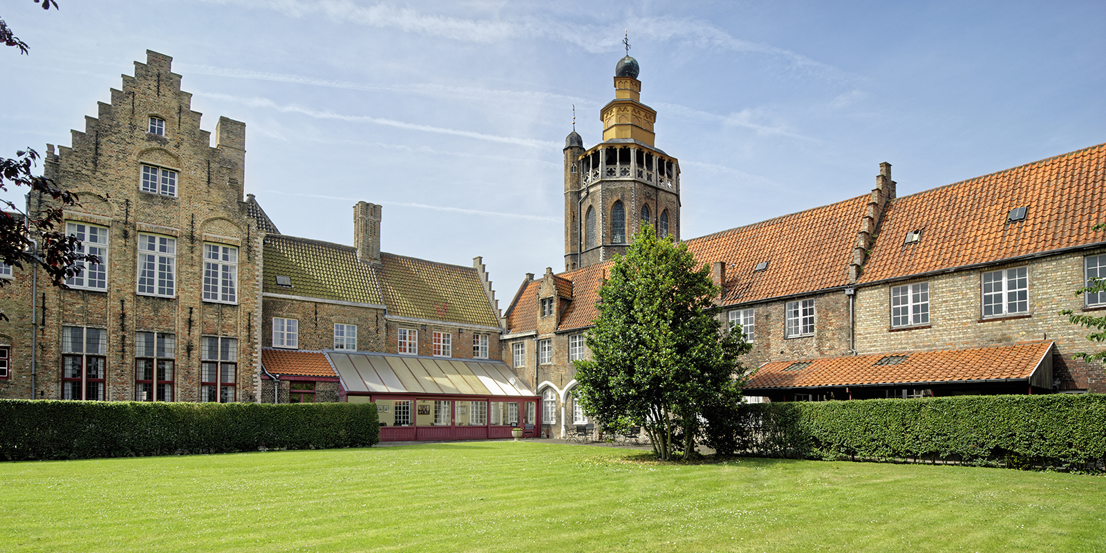 52538082545_a456192935_o