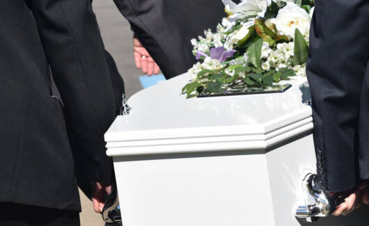 51278838169_00b27114e9_o