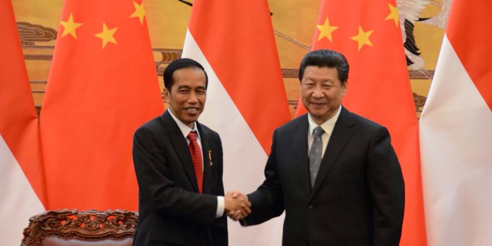 51236622514_f903543427_o-1