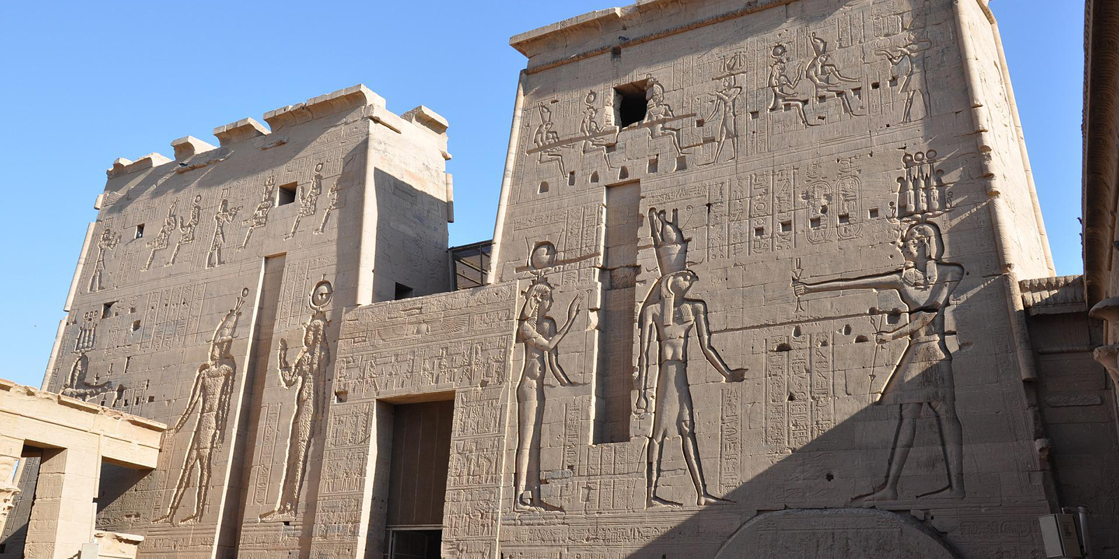 52029858182_16242c4372_o