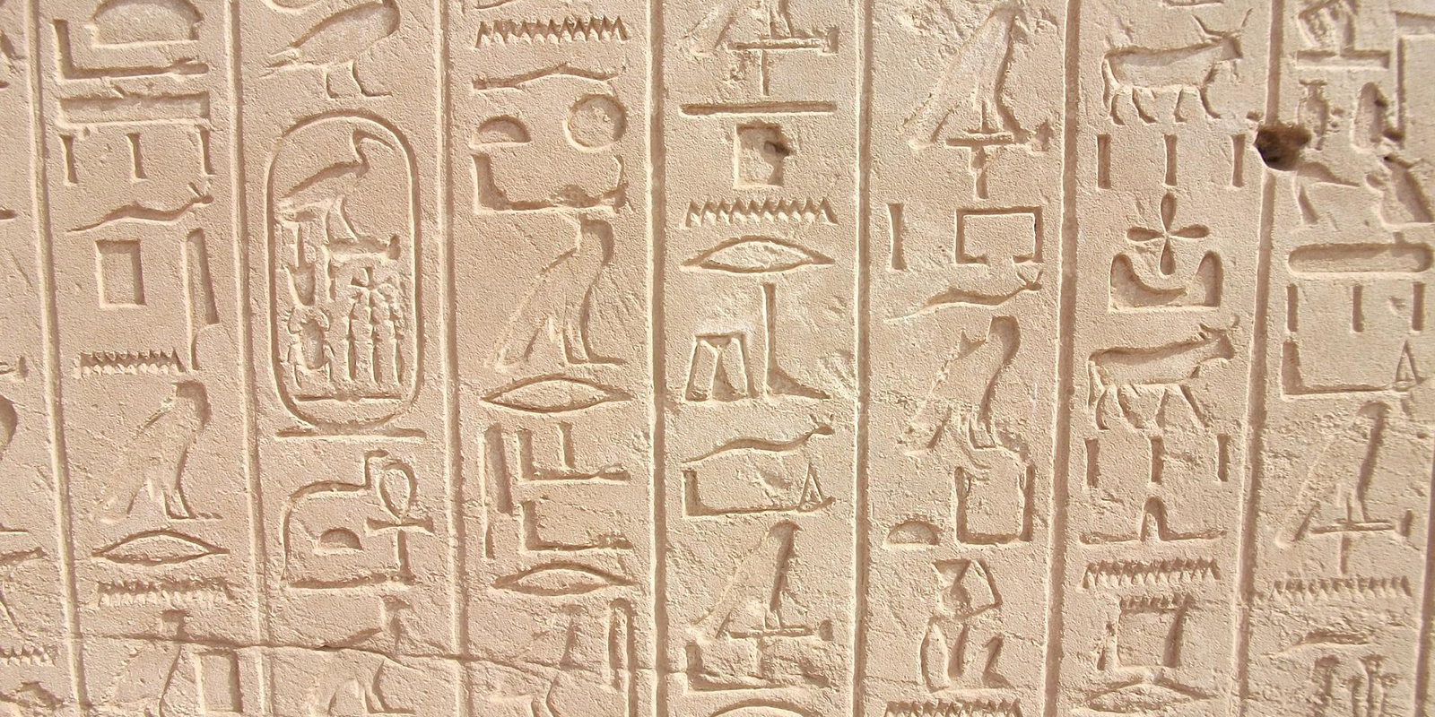 52030901071_fe9301d207_o