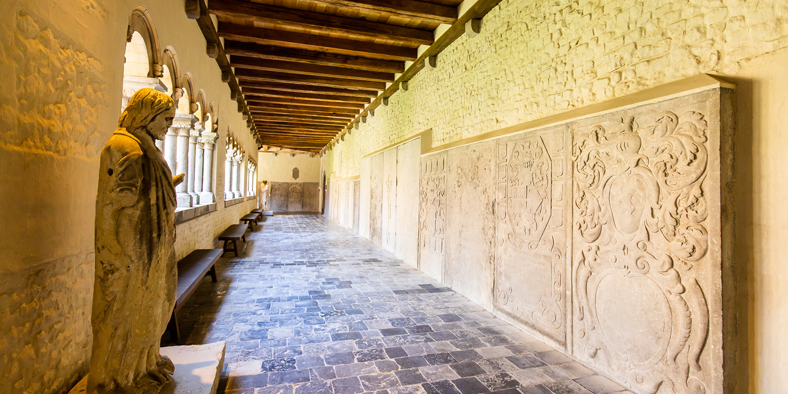 52763287022_ce4a2fbe82_o