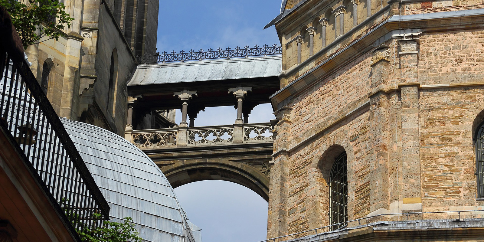 52793037693_582656abe7_o